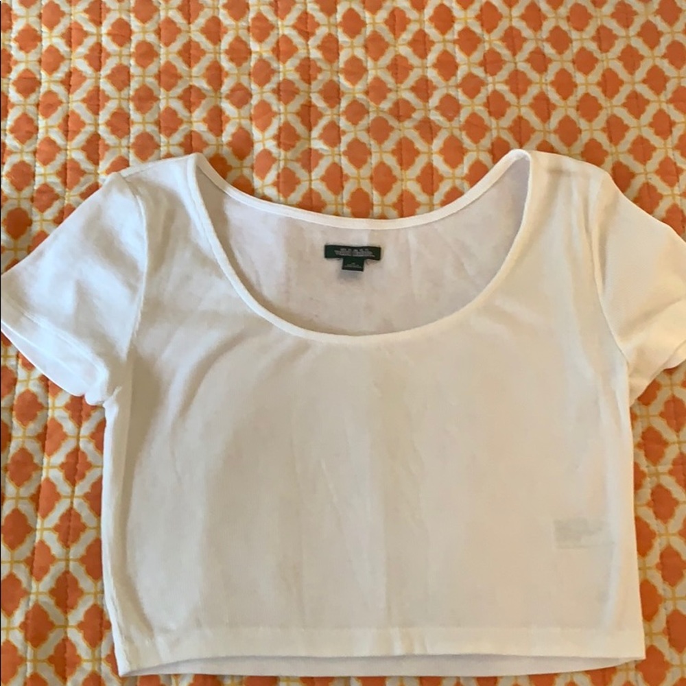 Wild Fable Crop top